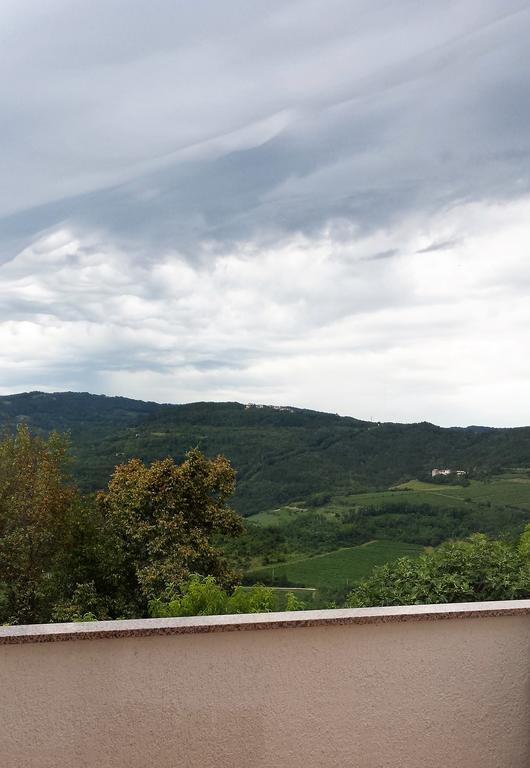 House Of Veli Joze Villa Motovun Kültér fotó