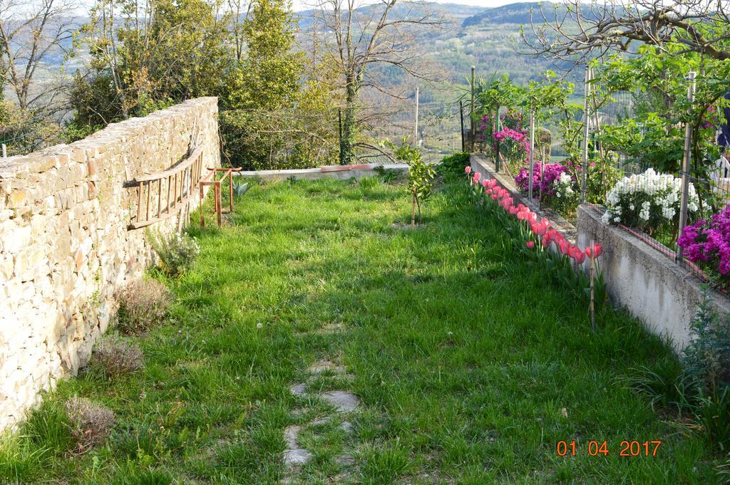 House Of Veli Joze Villa Motovun Kültér fotó